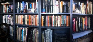 bookshelves-1